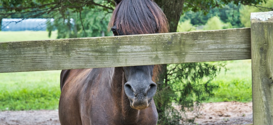 Stable Diffusion в сфере образовательных технологий: Визуализация учебных материалов Stable Diffusion в сфере образовательных технологий: Визуализация учебных материалов